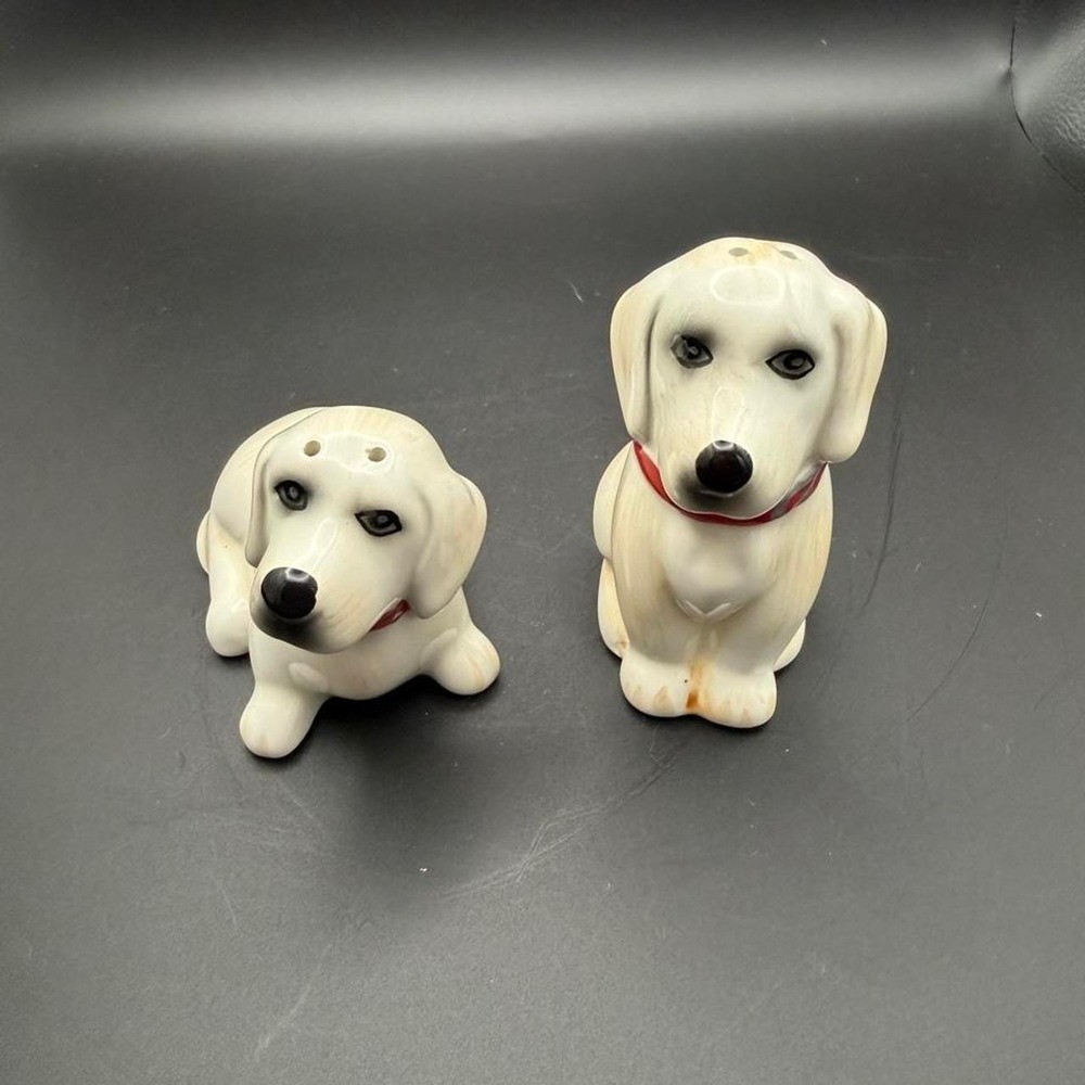 The Pioneer woman Lucy and David salt and pepper shakers